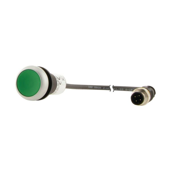 C22-D-G-K10-P3 Pushbutton, Flat, momentary, 1 N/O, Cable (black) with M12A plug, 4 pole, 0.5 m, green, Blank, Bezel: titanium image 9
