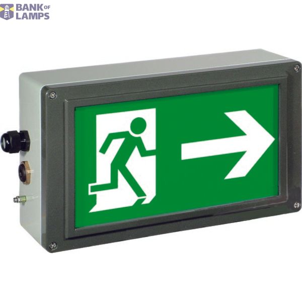 Ex-escape sign luminaires EX-LITE V-CG-S for emergency light function for zone 1/21, Pictogram: DIN 4844, Arrow: 3 Clock image 1