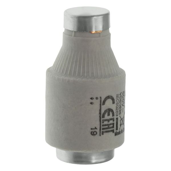 Fuse-link, LV, 35 A, AC 500 V, D3, gL/gG, IEC, time-delay image 19