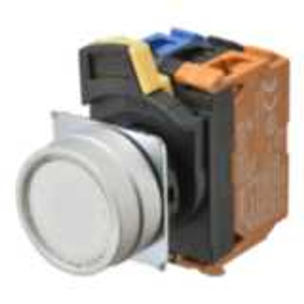 Pushbutton A22NL Ã˜22, bezel brushed metal, FLAT, Alternate, CAP COLOR A2223623D image 3