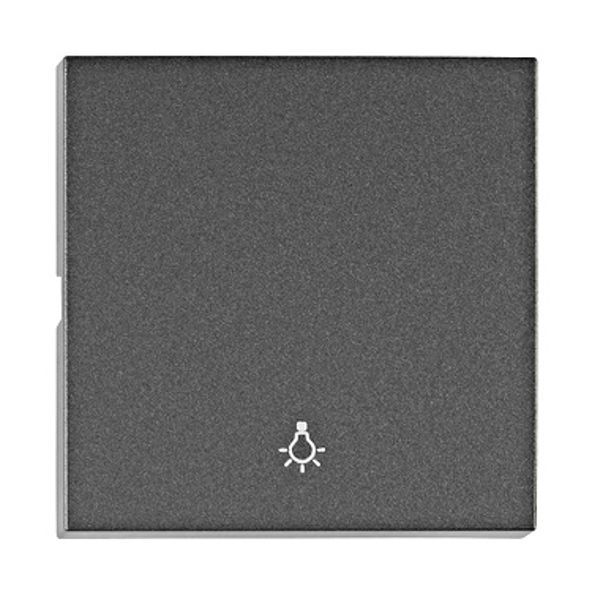 Rocker S 55 with symbol light, anthracite image 1