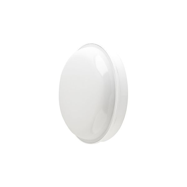 PANLUX Lamp LED CIRCLE MAXI 15W 1350lm 4000K IP65 image 1
