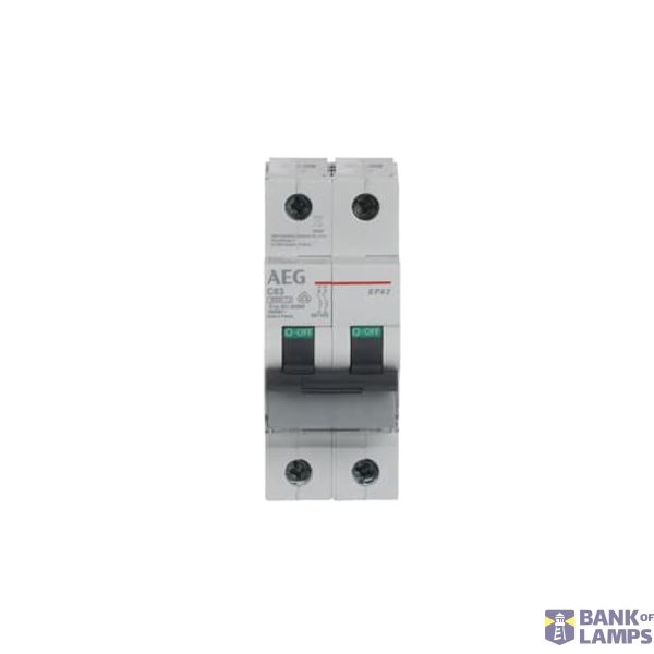 EP62 C63 Miniature Circuit Breaker - 2P - C - 63 A image 10