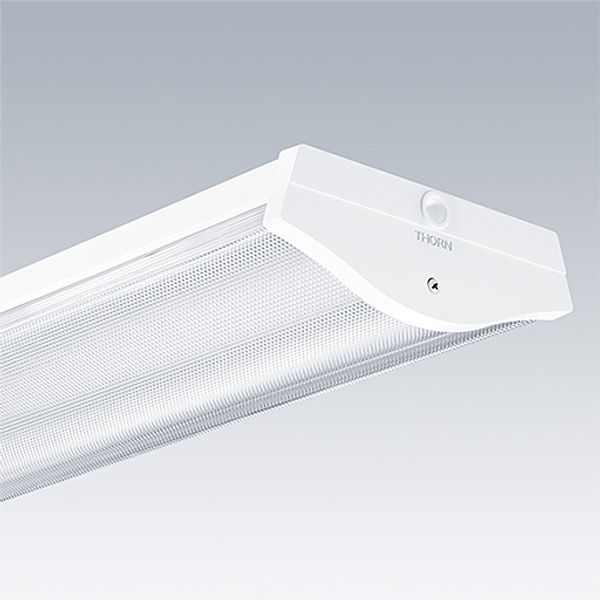COLLEGE 4650-840 HFIX L1500 - Surface mounted LED luminaire image 2
