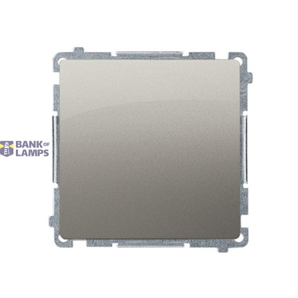 Two-way switch without pictogram, (module), 16AX, Screw, satin, metallized image 1