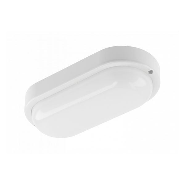 LED luminaire KODO, 8 W, 720 lm, AC175-260V, 4000K, PF>0.5, Ra≥80, IP54, IK08, oval, white image 1