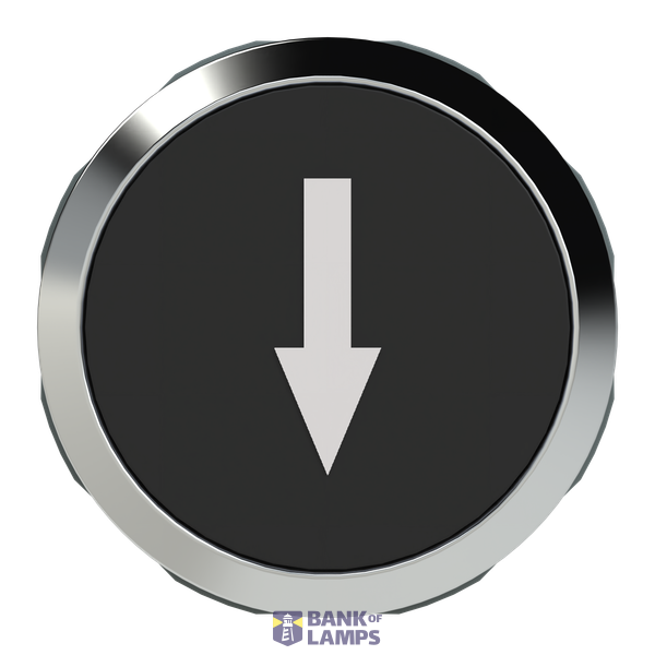 PD9-1204 button image 1