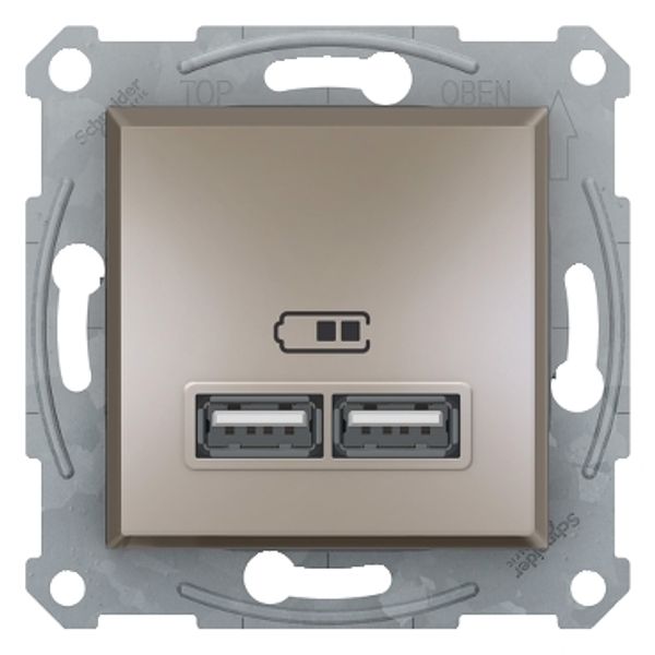 Asfora USB charger 2,1A bronze image 2