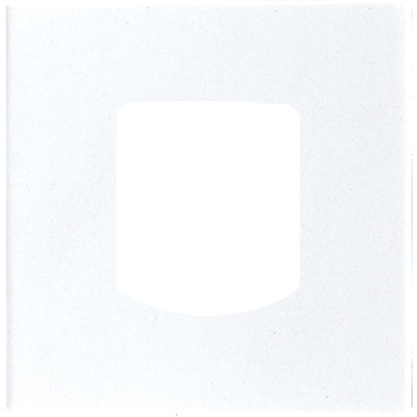 Cover plate for Ackermann LS189AWW image 12