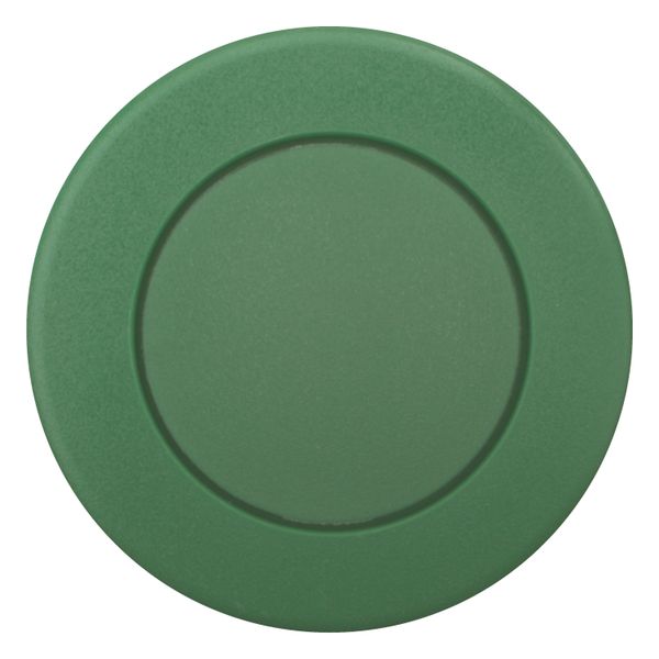M22S-DP-G Mushroom actuator, RMQ-Titan, Mushroom, momentary, Mushroom green, green, Blank, Bezel: black image 10