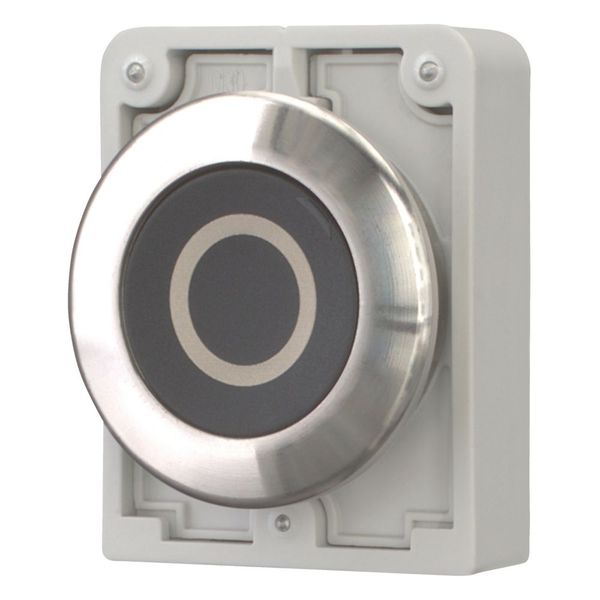 M30I-FD-S-X0 Pushbutton, RMQ-Titan, flat, momentary, black, inscribed, Front ring stainless steel image 6