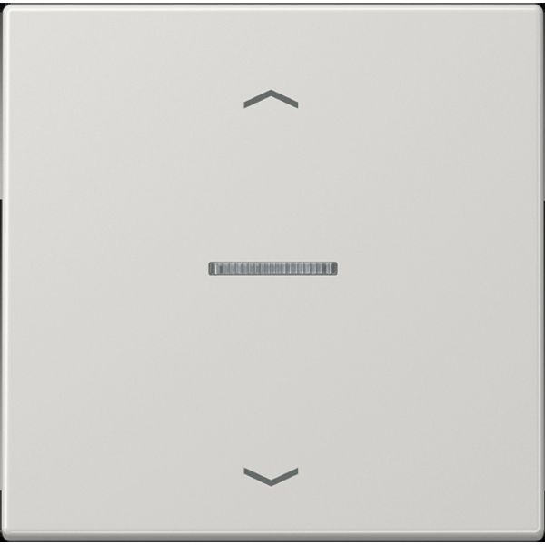 Centre plate for motor control inserts FMLS5232LG image 5