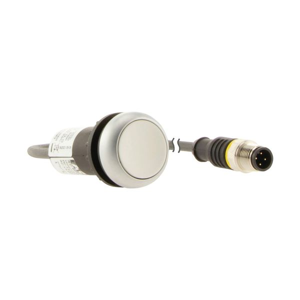 C22-D-W-K10-P3 Pushbutton, Flat, momentary, 1 N/O, Cable (black) with M12A plug, 4 pole, 0.5 m, White, Blank, Bezel: titanium image 10
