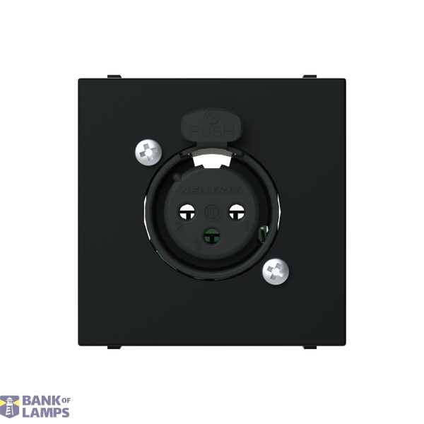 N2255.1 NT - Unit? 2M XLR Connection image 1