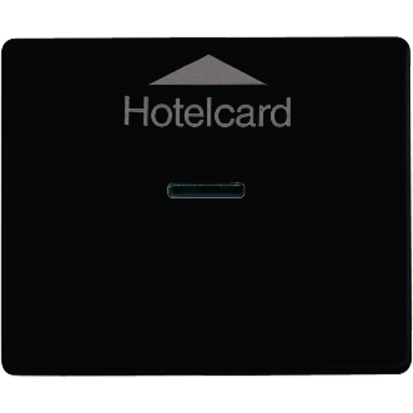 Afdekking SL500 zwart Hotelcard-schak image 1
