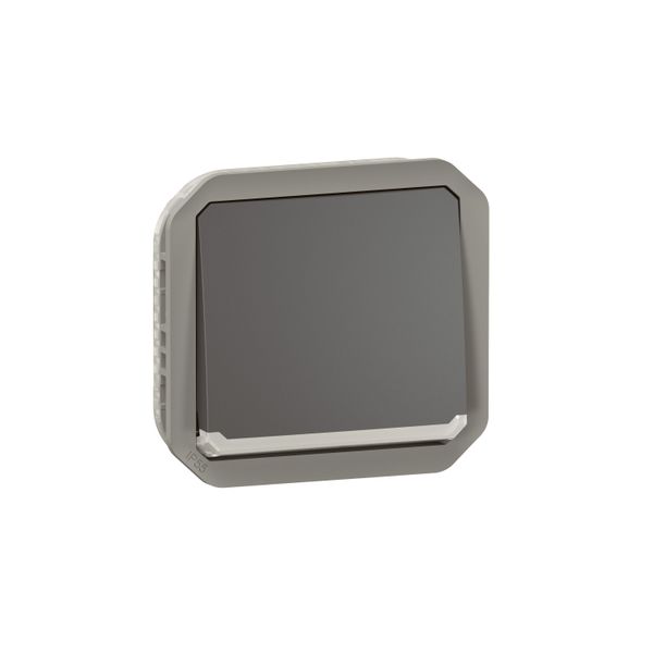 PLEXO DOUBLE POLE SWITCH - ANTHRACITE - MECHANISM image 1