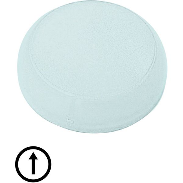 M22-XL-W-X7 Lens, indicator light white, flush, arrow symbol image 8
