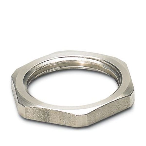 SACC-DSIV-MU-M12/VPE 500 - Flat nut image 1