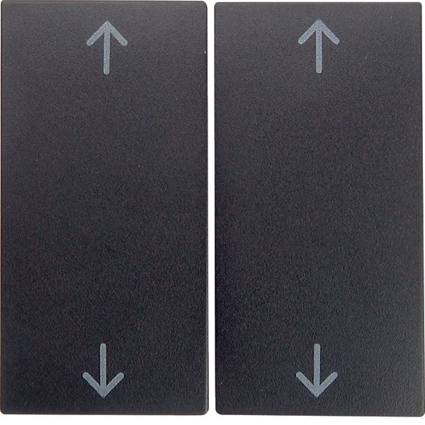 Rocker 2gang with imprinted arrows symbol Berker S.1/B.3/B.7, anthracite, matt image 1