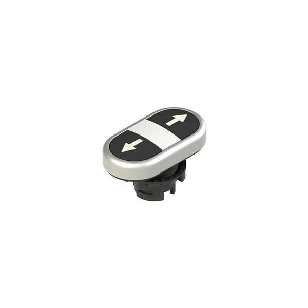 Double lower flush pushbutton, with marking image 1