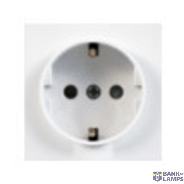 SAF COV SKO SOCKET 16A METERING D40 ALUMINI image 1