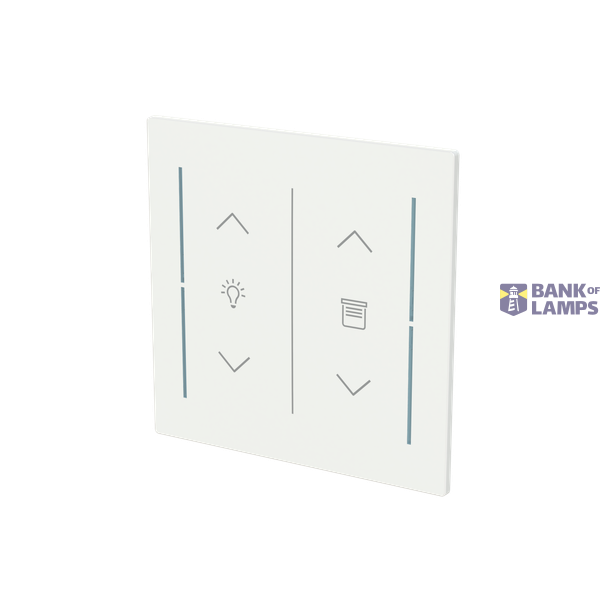 LFDW/A.2.70.1-44G Cover plate with legend with Symbol "arrows/venetian blind" and "dimmer" studio white - Trevion® image 2