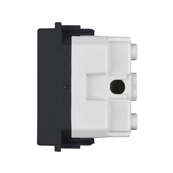 Socket without ground 1M, black image 2