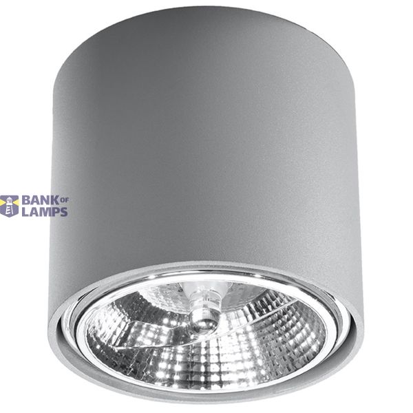 SPOT TIUBE GREY GU10 1X40W IP20 image 2