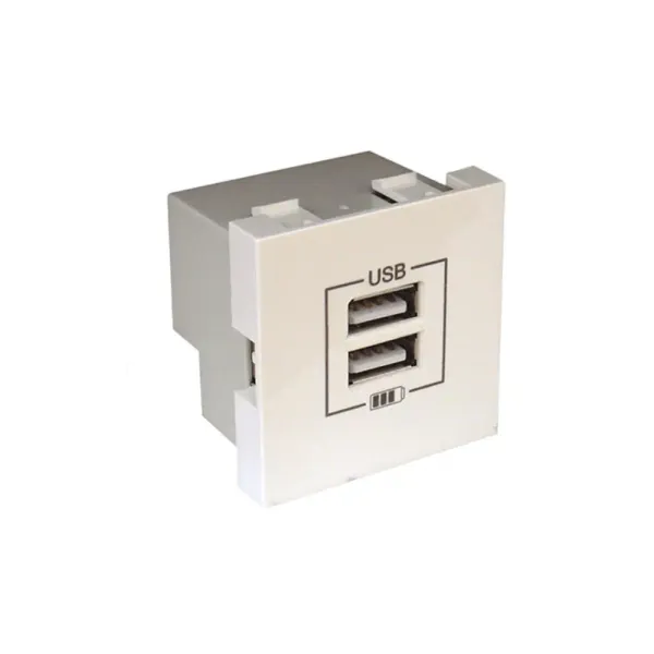 USB DOUBLE CHARGER TYPE A - 2 MODULES WHITE image 1