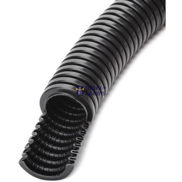 FXP 25 BK UV 50M image 2