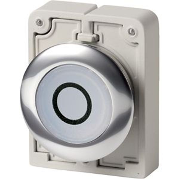M30C-FDRL-W-X0 Illuminated pushbutton actuator, RMQ-Titan, Flat, maintained, White, inscribed 0, Metal bezel image 2