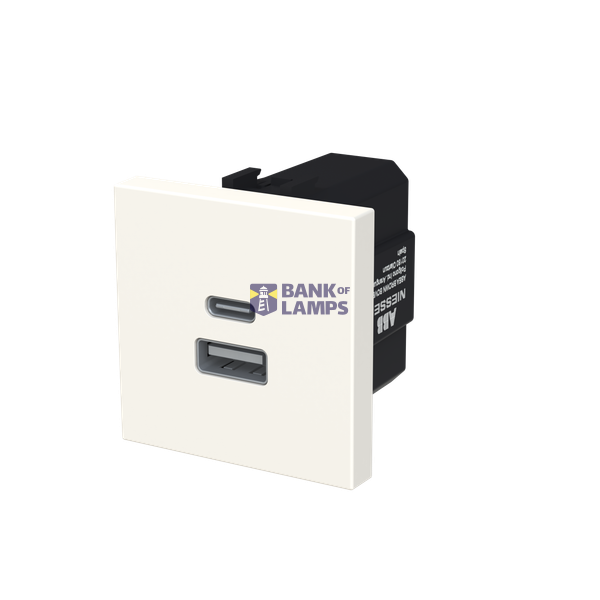 N2285.3 PL CARICATORE USB-A+C 10,5W -2M image 2