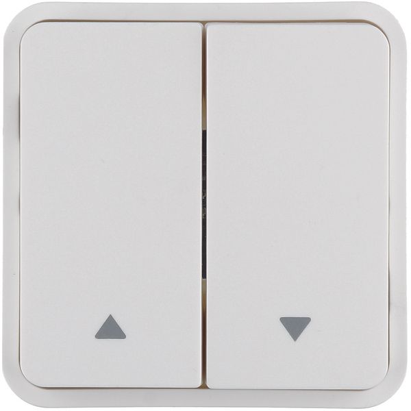 Rocker 2gang for push-button BCU, imprint 2 arrows right/left, polar w image 1