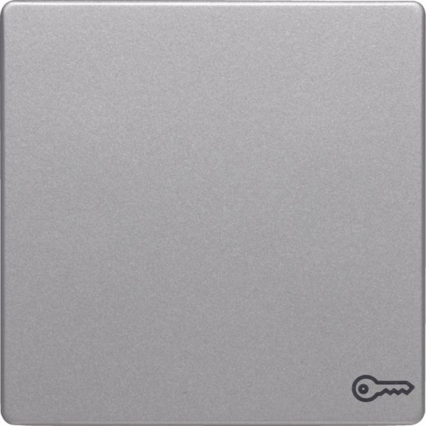 Rocker with imprinted symbol door, Q.1/Q.3, aluminium velvety, lacquer image 2