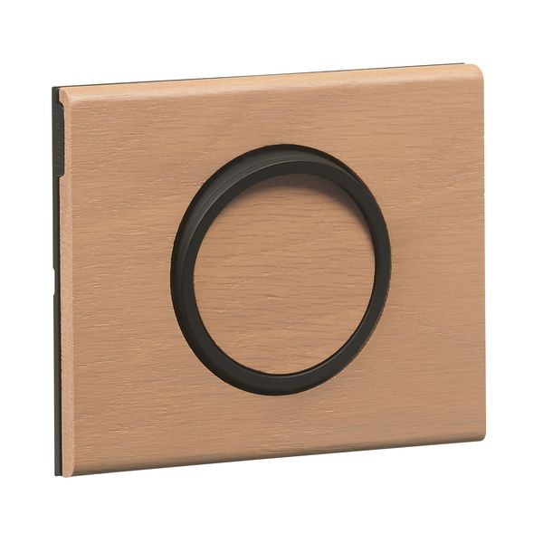 RING 2 WAY SWITCH INDICATOR image 4