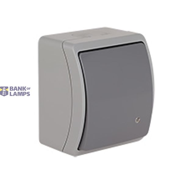 VW-7L Koala Universal/Two-Way Switch / without printed pictogram / with illumination / surface mounted IP44 pop/graphite VW 157-58 image 1