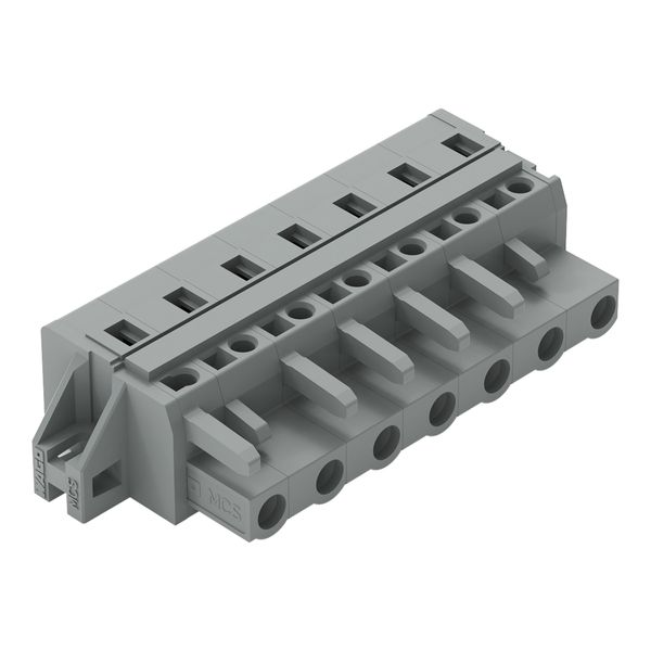 1-conductor female connector CAGE CLAMP® 2.5 mm² gray image 1