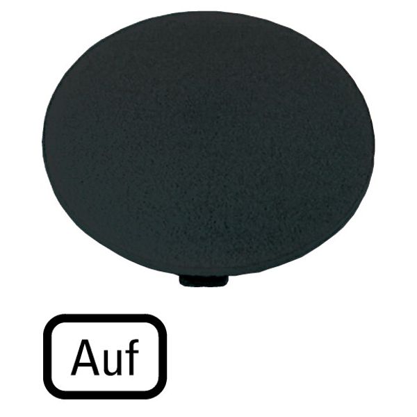 M22-XDP-S-D3 Button plate, mushroom black, UP image 1