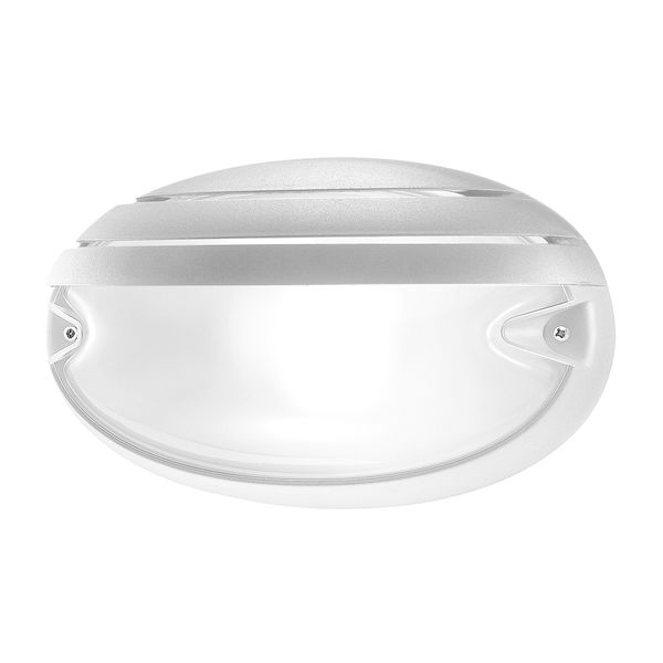 CHIP OVALE 30 GRILL WIT E27 image 1