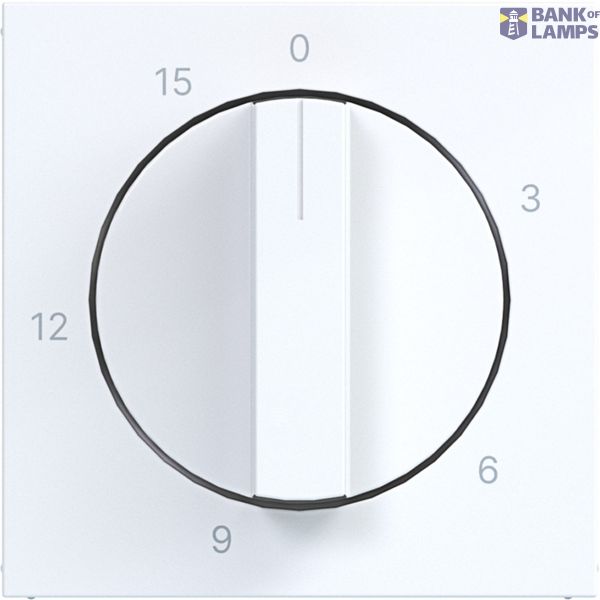 Central pl mechanical time switch 0-15 min., A.x/C.x, white glass. image 1