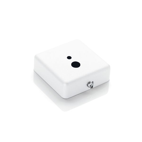 SQUARE CEILING ROSE, WHITE image 2