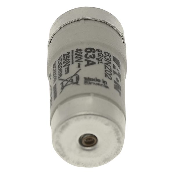 Fuse-link, LV, 63 A, AC 400 V, D02, gL/gG, IEC, time-delay image 27