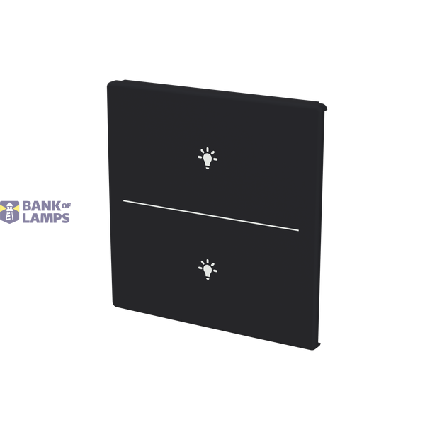 ESP 30D/2BX/I module image 2