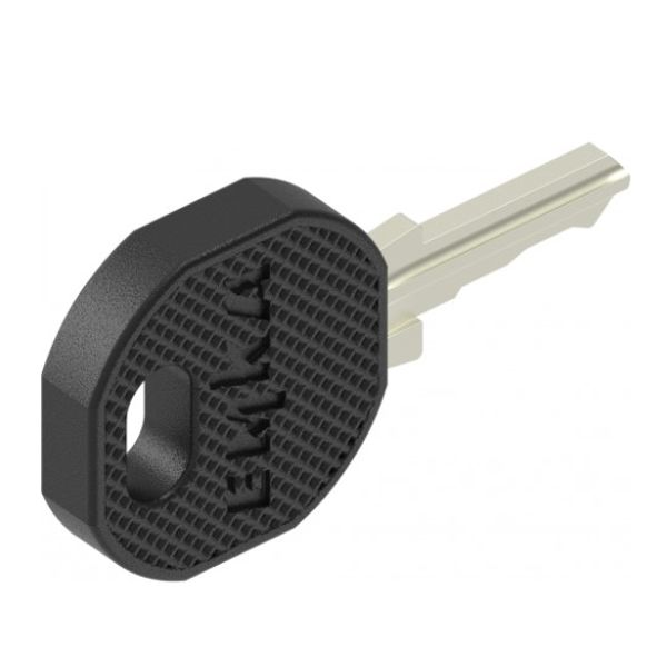 2 DOOR AND PANEL KEYS. LINKEO image 1