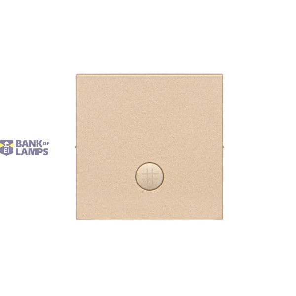 Single button for switches and push buttons, champagne matt image 1
