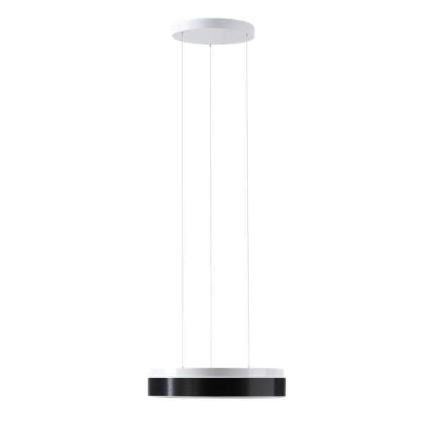 LED-1L16E700ZLEN83/PC23C/L100 DALI 4K image 1