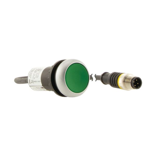 C22-D-G-K10-P3 Pushbutton, Flat, momentary, 1 N/O, Cable (black) with M12A plug, 4 pole, 0.5 m, green, Blank, Bezel: titanium image 16
