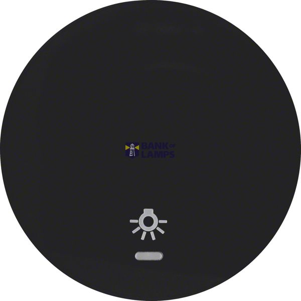 Rocker with lens and light symbol, R.1/R.3/R.8, black image 1