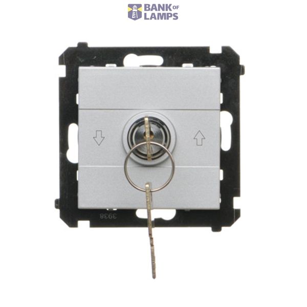 Roller blond switch with key, matt aluminum, 10A image 1