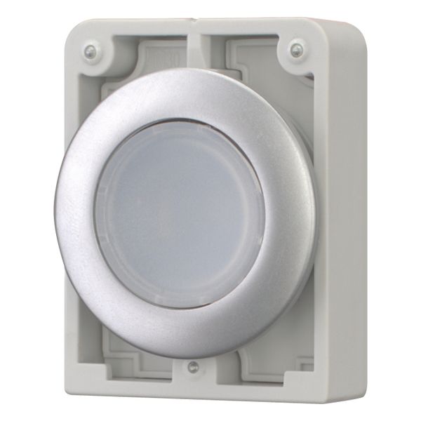 M30C-FDRL-W Illuminated pushbutton actuator, RMQ-Titan, Flat, maintained, White, Blank, Metal bezel image 9
